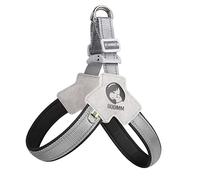 Laikoutd Collier De Gilet D'entraînement Respirant pour Chien Sangle Poitrine Souple pour Animaux Compagnie Taille Moyenne Et Corde Souple avec Crochet Traction Harnais Grand Chien