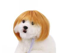 Laikoutd Perruques Bob Cospaly pour Chien Postiche Animaux De Compagnie Fournitures Fête Ornements Tête Perruques Chats Et Petits Chiens