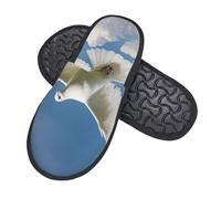 Laine En Peluche Hiver Pantoufle Peluche Ciel De Colombe Chaussures De Maison Unisexe Accueil Slippers Pour Spa, Hôtel, Chambre L