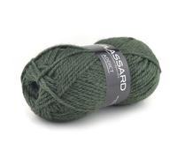 Laine Plassard Addict Vert Bouteille (76)