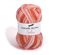 Laines Cheval Blanc - SALSA JACQUARD pelote de fil à tricoter été 60% coton 40% acrylique 50g - Fil d'été pour créer de jolis imprim