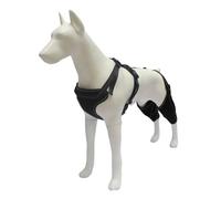 LAIOUSN Attelle de jambe pour chien - Chauffe et protège les entorses - Protection du coude pour chien - Aide à la récupération des blessures du chien