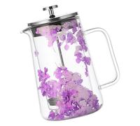 LAIOUSN Cafetière isotherme à double paroi pour boissons chaudes et froides et fleurs séchées 650 ml