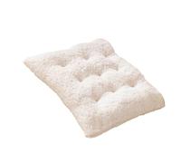 LAIOUSN Couche de chaise confortable avec une meilleure prise en main, couture forte par temps froid pour n'importe quel espace. Housse de siège de chaise en peluche