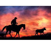 Laird - The Long Ride Home - Coucher de soleil poster print - Taille 91,5x61 cm