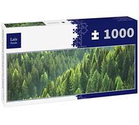 Lais Puzzle Arbres Verts sains dans Une forêt de Vieux épicéas, sapins et pins, Panorama 1000 pièces