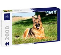 Lais Puzzle Berger Allemand 2000 pièces