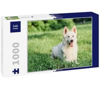Lais Puzzle Berger Blanc Suisse 1000 pièces