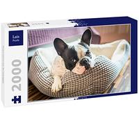 Lais Puzzle Bouledogue français 2000 pièces