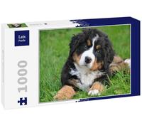 Lais Puzzle Bouvier Bernois 1000 pièces