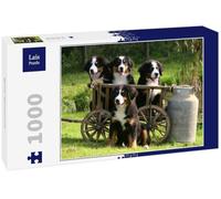 Lais Puzzle Bouvier Bernois 1000 pièces