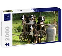 Lais Puzzle Bouvier Bernois 2000 pièces
