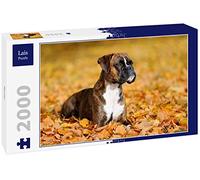 Lais Puzzle Boxer 2000 pièces