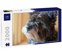 Lais Puzzle Cairn-Terrier 2000 pièces