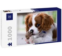 Lais Puzzle Cavalier King Charles Spaniel 1000 pièces