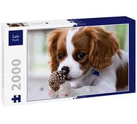 Lais Puzzle Cavalier King Charles Spaniel 2000 pièces