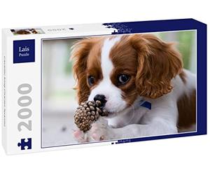 Lais Puzzle Cavalier King Charles Spaniel 2000 pièces