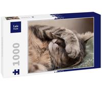 Lais Puzzle Chat endormi 1000 pièces