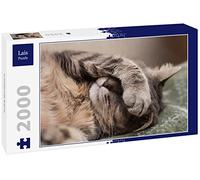 Lais Puzzle Chat endormi 2000 pièces