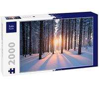 Lais Puzzle Coucher de Soleil dans la forêt en Hiver 2000 pièces