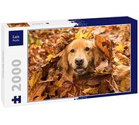 Lais Puzzle Golden Retriever 2000 pièces