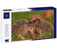 Lais Puzzle Hérisson 2000 pièces