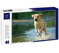 Lais Puzzle Labrador Retriever 2000 pièces