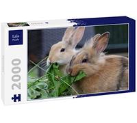 Lais Puzzle Lapin 2000 pièces