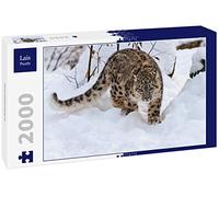 Lais Puzzle Léopard des neiges 2000 pièces