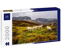 Lais Puzzle Moutons sur l'île de Skye, Écosse, Royaume-Uni, Europe 2000 pièces