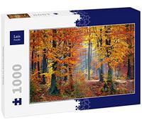 Lais Puzzle Paysage forestier en Automne 1000 pièces