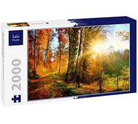 Lais Puzzle Paysage forestier en Automne avec Rayons de Soleil 2000 pièces
