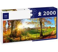 Lais Puzzle Paysage forestier en Automne avec Rayons de Soleil, Panorama 2000 pièces