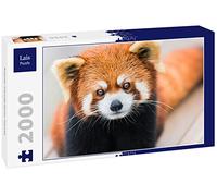 Lais Puzzle Petit Panda/Panda Rouge 2000 pièces