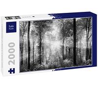 Lais Puzzle Rayons de lumière dans la forêt en Noir et Blanc 2000 pièces