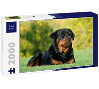 Lais Puzzle Rottweiler 2000 pièces