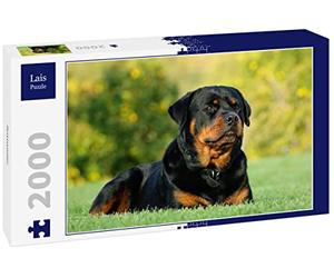 Lais Puzzle Rottweiler 2000 pièces