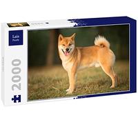 Lais Puzzle Shiba Inu 2000 pièces