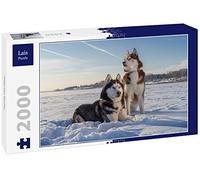 Lais Puzzle Siberian Husky 2000 pièces
