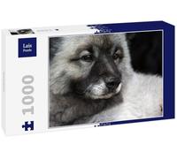 Lais Puzzle Spitz Loup 1000 pièces