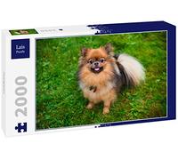 Lais Puzzle Spitz Nain 2000 pièces