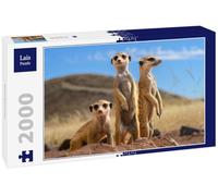 Lais Puzzle Suricate 2000 pièces