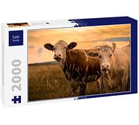 Lais Puzzle Vaches au Coucher du Soleil 2000 pièces