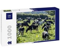 Lais Puzzle Vaches laitières dans Un Champ Carmarthenshire Pays de Galles 1000 pièces