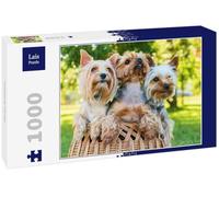 Lais Puzzle Yorkshire Terrier 1000 pièces
