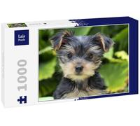 Lais Puzzle Yorkshire Terrier 1000 pièces