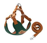 Laisse 2026 pour une promenade détendue - Plus de plaisir dans votre propre corps - Vous pouvez ainsi profiter des promenades encore plus belles. (B, 42 cm)