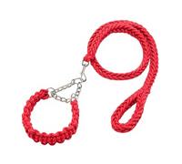 Laisse anti-explosion en nylon tressé à huit brins pour animaux de compagnie, durable et résistant aux morsures, convient aux chiens de taille moyenne et grande Corde de traction + collier (rouge, L)