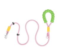Laisse anti-traction en nylon pour chien de 2 m