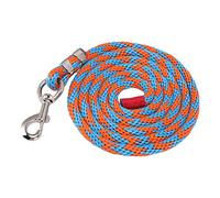 Laisse Cheval en Nylon Épais 2m, Corde Résistante à la Traction avec Crochet en Alliage - Durable, Anticorrosion, Parfaite pour Dressage et Conduite d’Animaux (Bleu Orange)